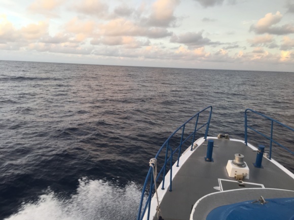 d0224927_22093334.jpeg