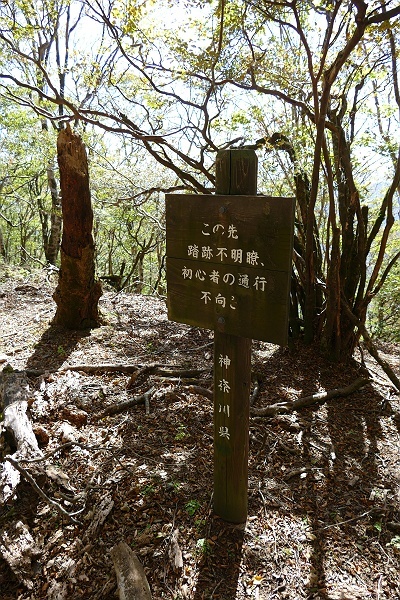 不明瞭な道に悩まされた丹沢権現山登山　その7_c0196928_07511742.jpg