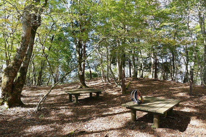 不明瞭な道に悩まされた丹沢権現山登山　その7_c0196928_07531270.jpg