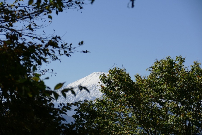 不明瞭な道に悩まされた丹沢権現山登山　その7_c0196928_07531301.jpg