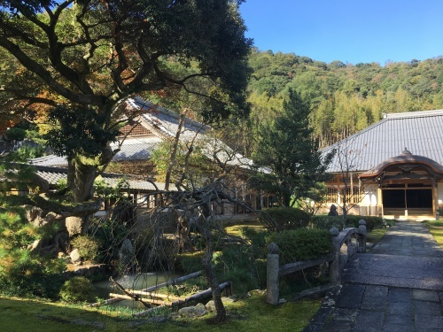 b0182334_14422769.jpeg