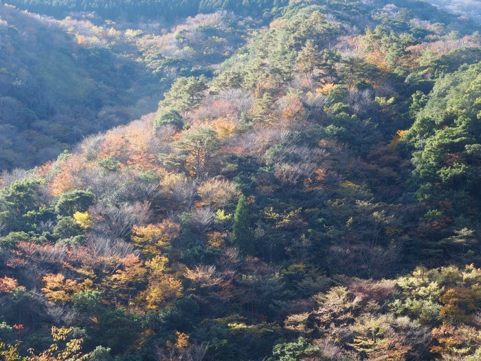 c0281841_11351454.jpg