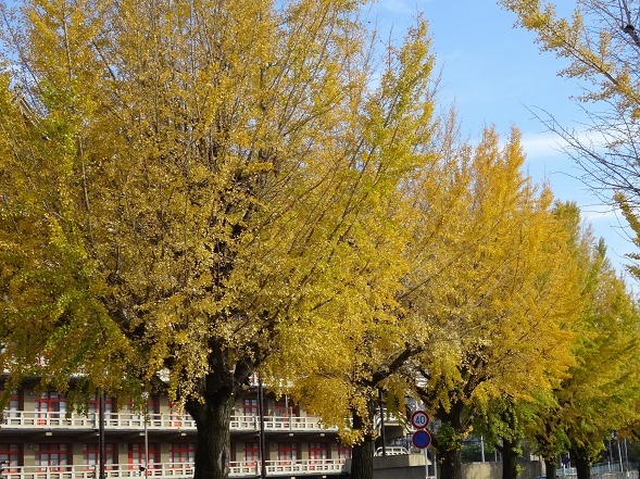 b0299042_14172124.jpg