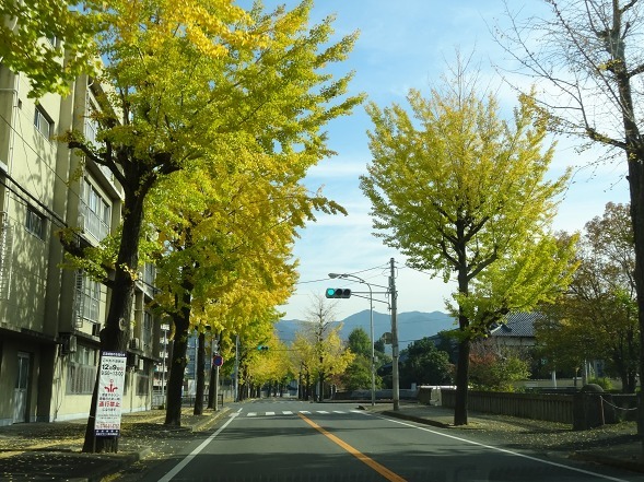 b0299042_14173017.jpg