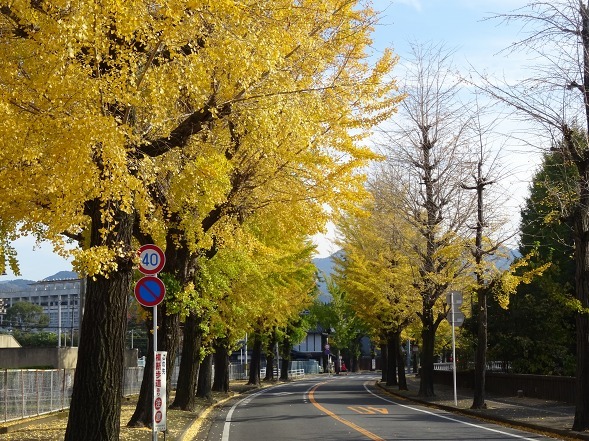 b0299042_14175067.jpg
