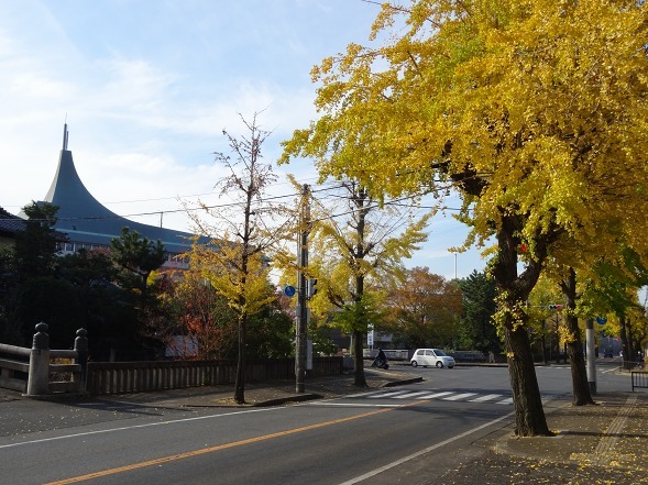 b0299042_14175519.jpg