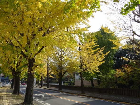 b0299042_14181630.jpg