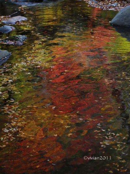 e0227942_21201451.jpg