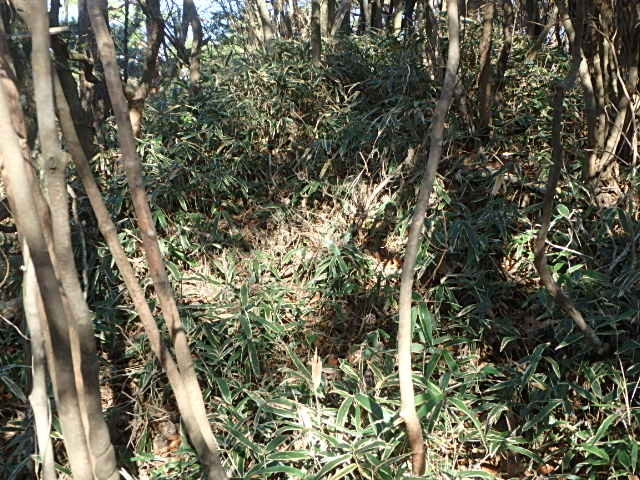 f0334143_943685.jpg