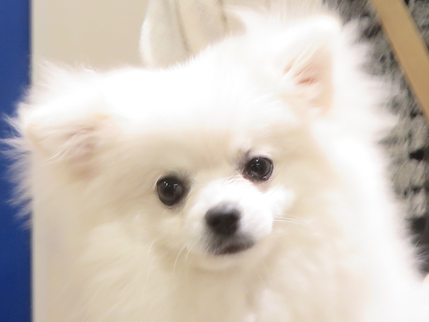 c0174644_10535532.jpg