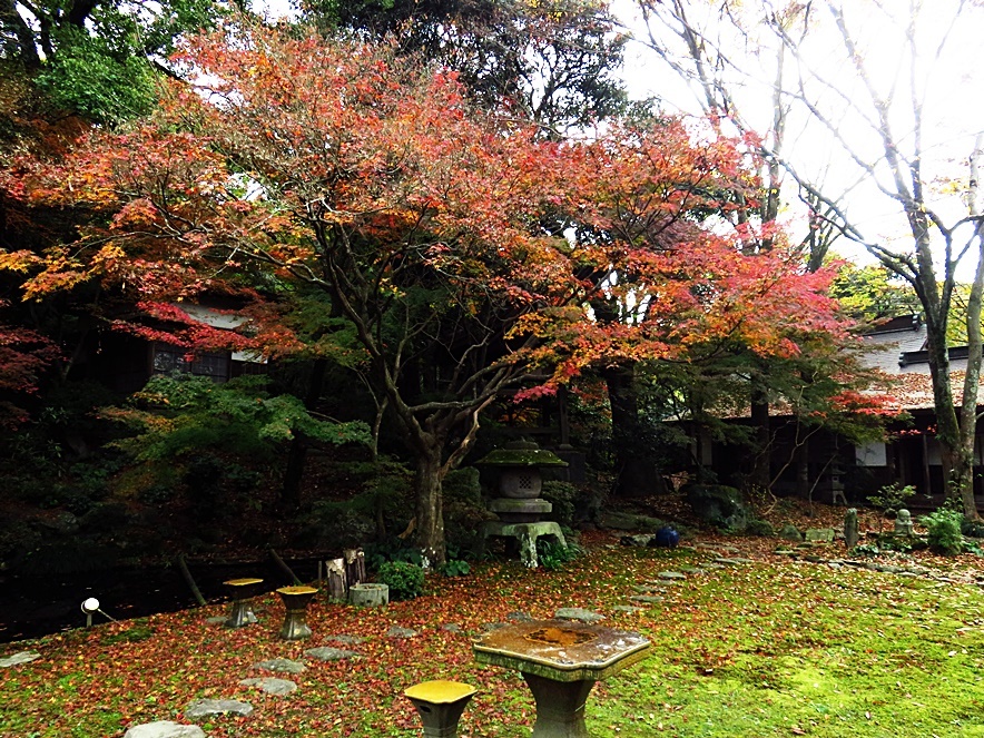 菩提寺の紅葉_f0089644_15282008.jpg