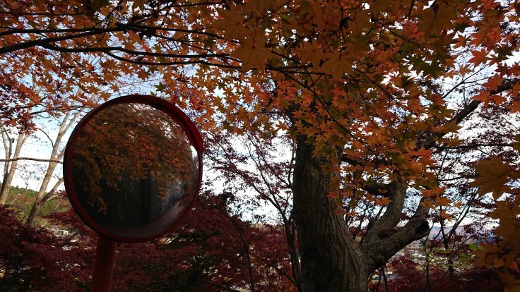 永源寺～もみじ寺　紅葉　＠茨城県_f0048546_23331885.jpg