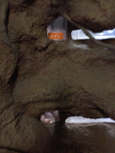 c0017651_01322825.jpg