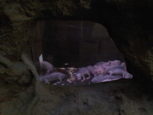c0017651_01330886.jpg