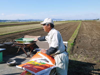 完熟紅ほっぺ 今年は作付け面積を縮小して、しっかり手をかけ良いものを育てる匠!12月上旬より出荷です!!_a0254656_17112095.jpg