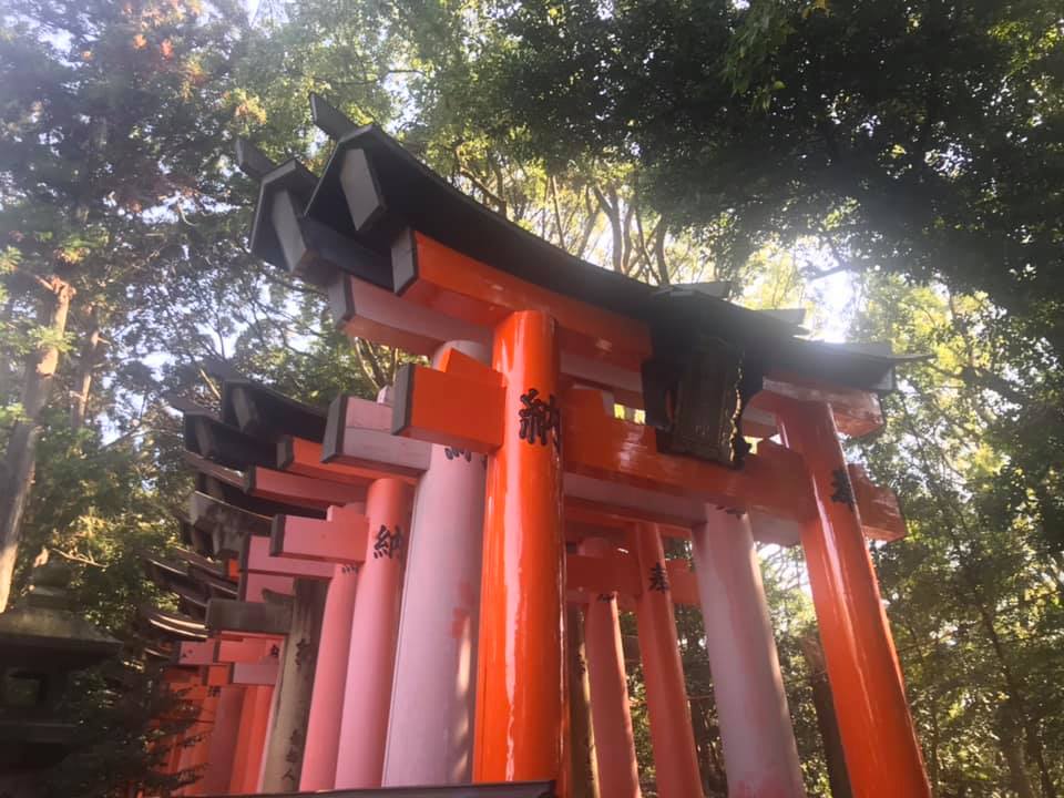 【稲荷大明神】俺たちは神を超越した存在なんだって!? 2018.11.19_b0002156_14534865.jpg