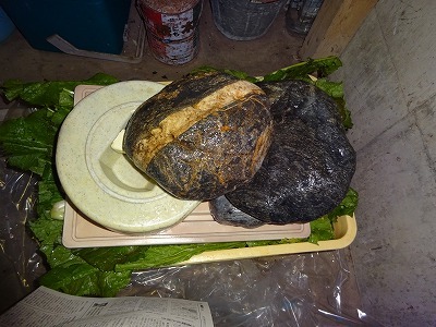 d0074063_08234366.jpg