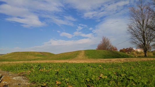 d0174664_08233271.jpg