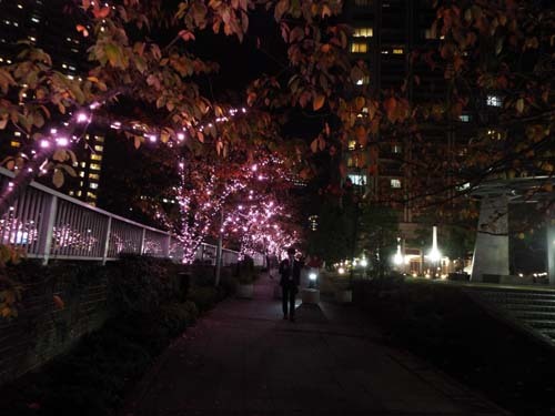 f0211178_15413724.jpg