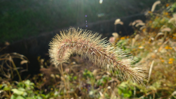 c0212083_16561316.jpg