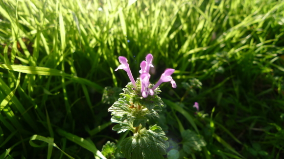 c0212083_16562249.jpg