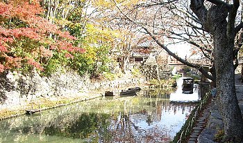 f0003283_13105372.jpg