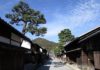 f0003283_13110982.jpg