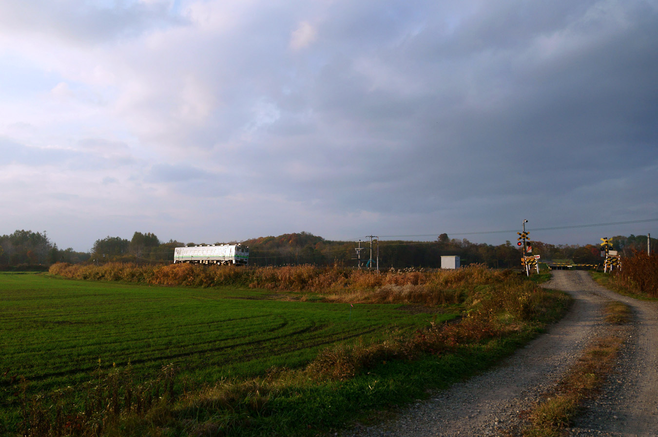 f0242684_21525101.jpg