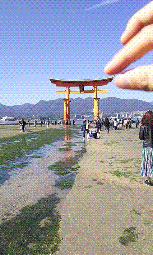 e0199691_00543880.gif