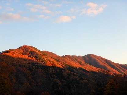 皇海山の林道_e0077899_9282456.jpg