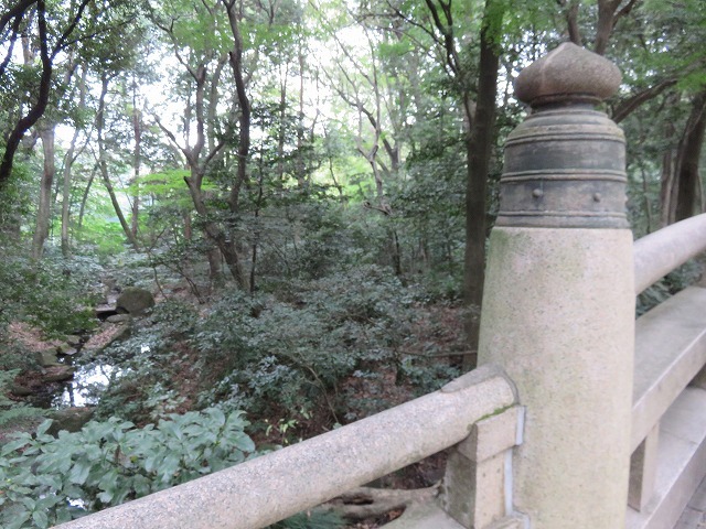 c0187004_19280814.jpg
