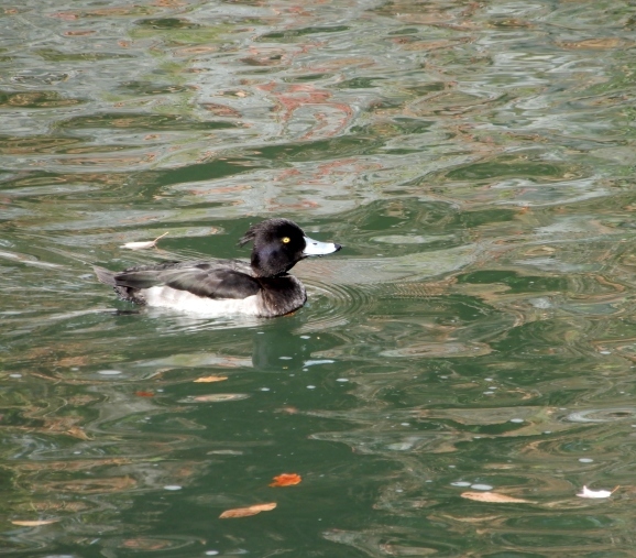 c0345705_14554104.jpg