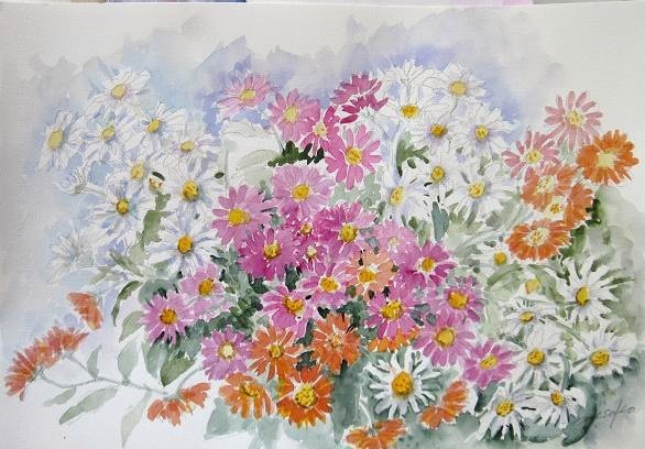 水彩画(野菜と菊の花) 水彩画(野菜と菊の花) （菊 水彩イラスト｜無料イラスト・フリー