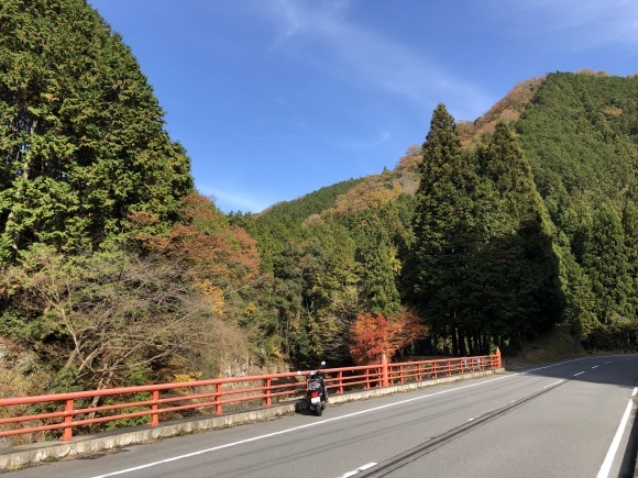 c0388708_20213152.jpeg