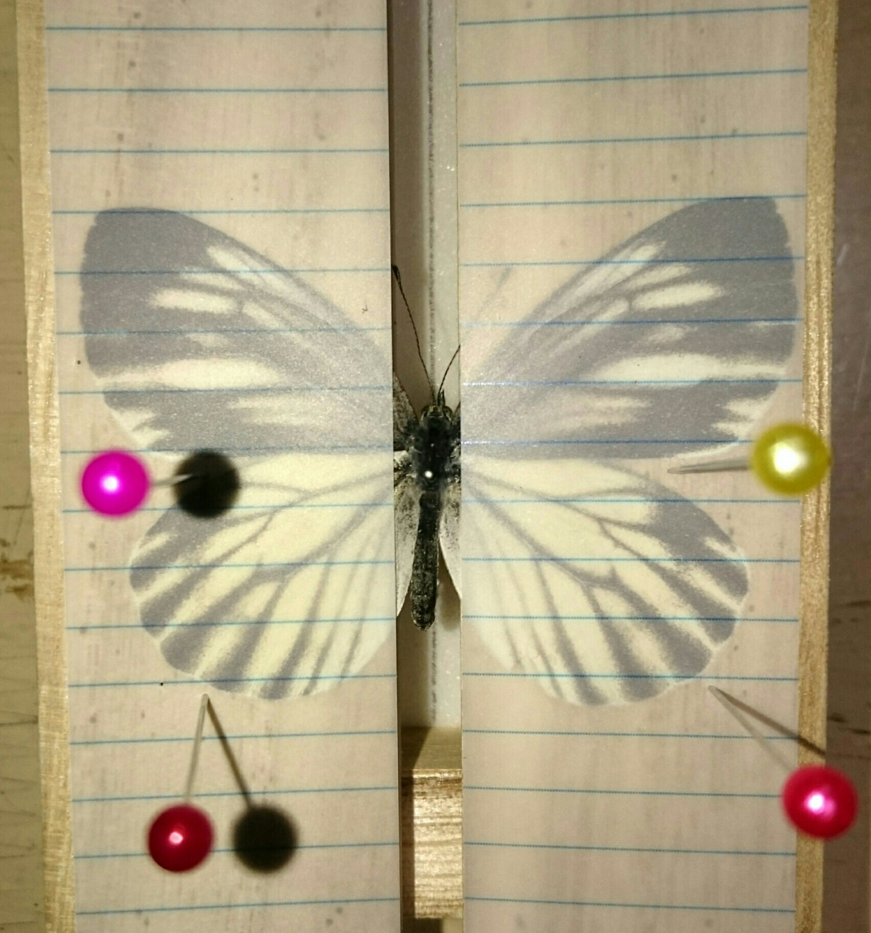 a0361610_22225195.jpg
