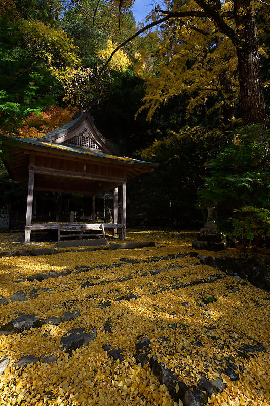 2018京都の紅葉・小野郷　岩戸落葉神社_f0032011_21184269.jpg