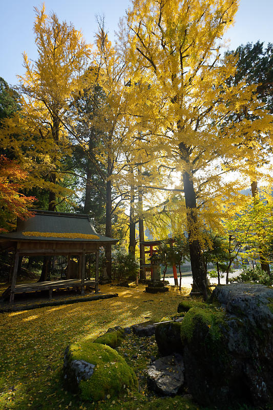 2018京都の紅葉・小野郷　岩戸落葉神社_f0032011_21184295.jpg