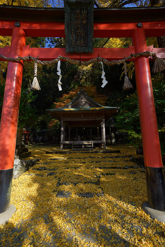 2018京都の紅葉・小野郷　岩戸落葉神社_f0032011_21184301.jpg