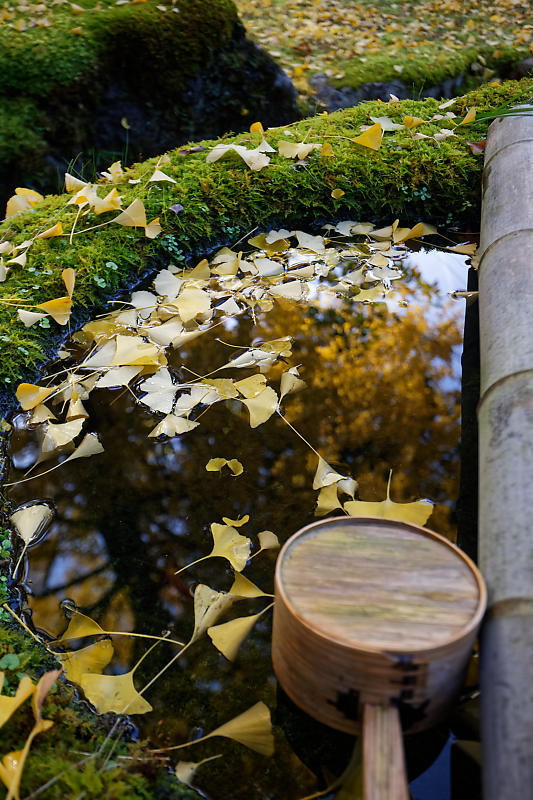 2018京都の紅葉・小野郷 岩戸落葉神社_f0032011_21184360.jpg