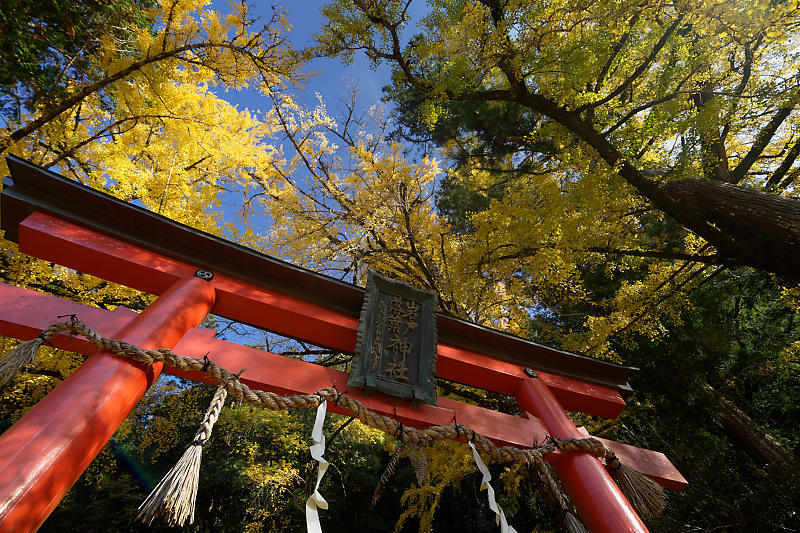 2018京都の紅葉・小野郷　岩戸落葉神社_f0032011_21184362.jpg