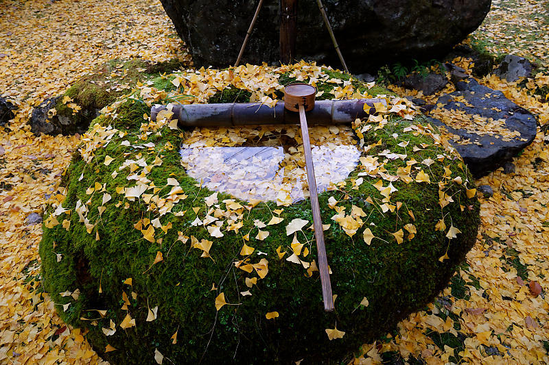 2018京都の紅葉・小野郷　岩戸落葉神社_f0032011_21184384.jpg