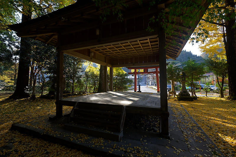 2018京都の紅葉・小野郷 岩戸落葉神社_f0032011_21184396.jpg