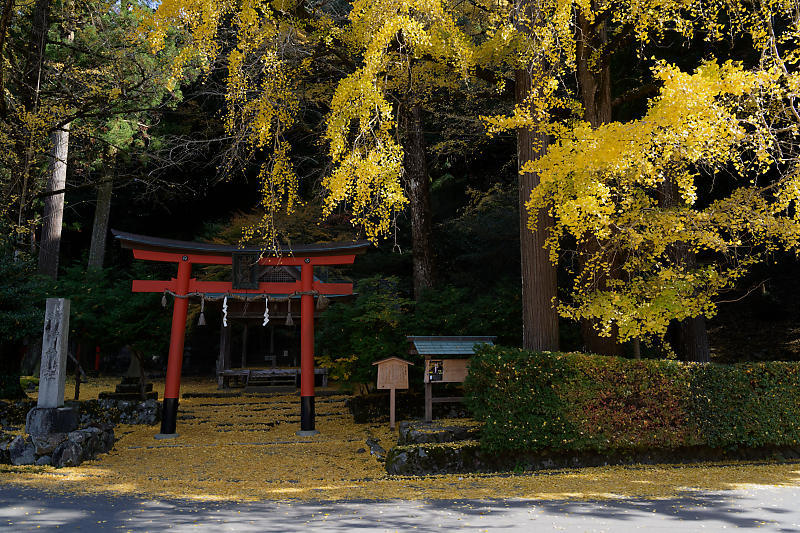 2018京都の紅葉・小野郷　岩戸落葉神社_f0032011_21344571.jpg