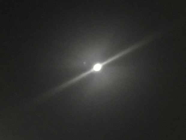 c0102513_00145057.jpeg