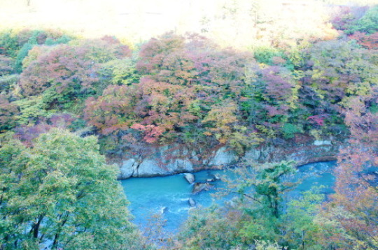 f0215714_16182563.jpg