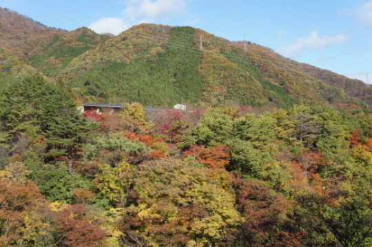f0215714_16185874.jpg