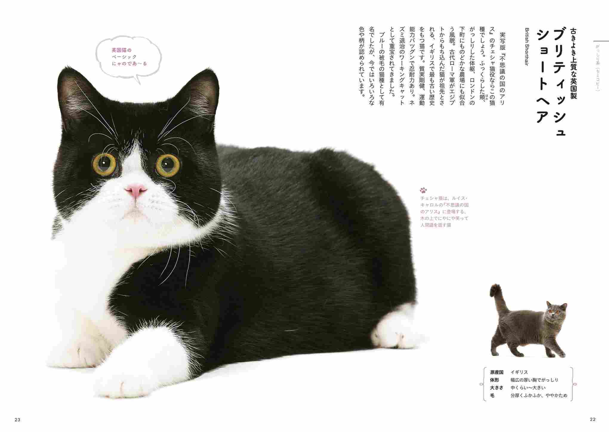 11月21日のtwitter_c0025115_21435181.jpg