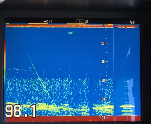d0155615_05171416.jpeg