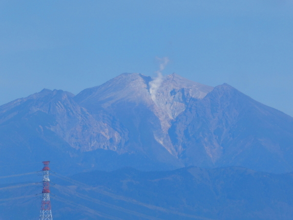 d0170615_20595584.jpg