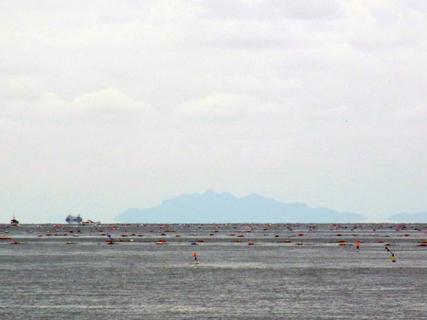 e0083517_01094677.jpg